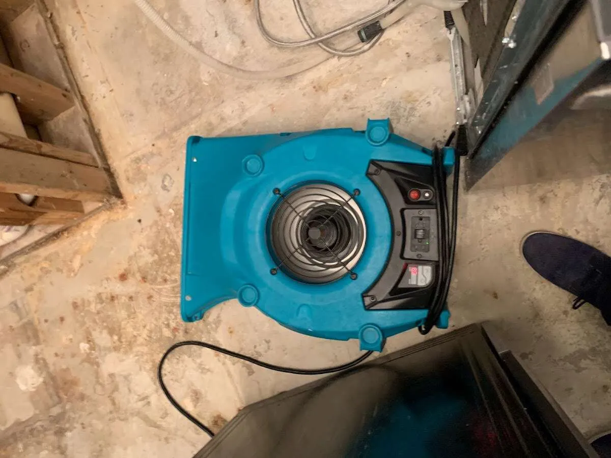 Air mover drying equipment for Mold Remediation & Removal in West Hollywood